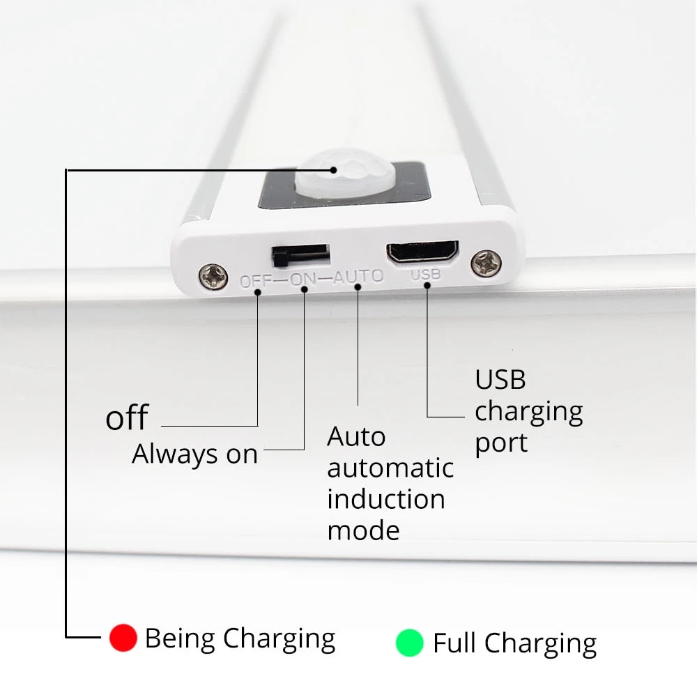 Motion Sensor Light